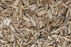 biomass boilers Jevington